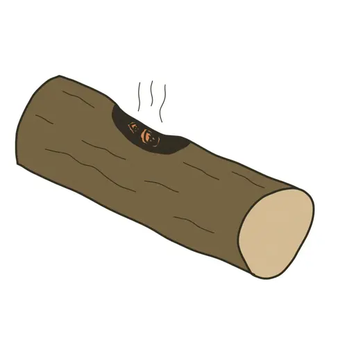 Log Bowl