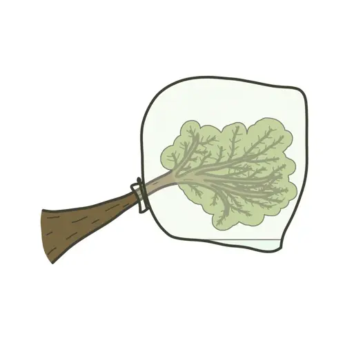 Transpiration Bag